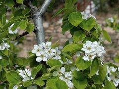 -崂山风景区-大河东游客中心