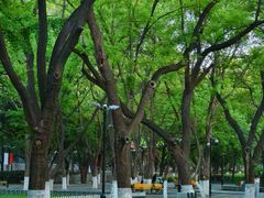 -山东大学(趵突泉校区)