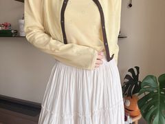 -岭南站NOVA