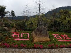 -广州市石门国家森林公园