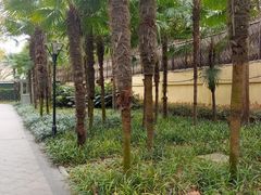 -徐家汇源景区-衡山公园