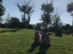 -成都蒲江花样年福朋喜来登度假酒店·宜客乐西餐厅