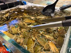 -川骄海鲜自助(亚运村店)