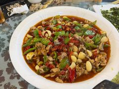 -龙翔山庄雷鸡肉(青城后山泰安古镇店)