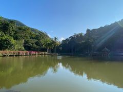 -西双版纳原始森林公园