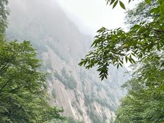 -青峰峡国家森林公园