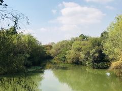 -西溪国家湿地公园