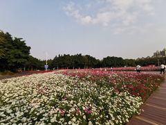 -海心沙亚运公园