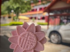 -广州莲花山旅游区