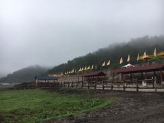 -关山草原