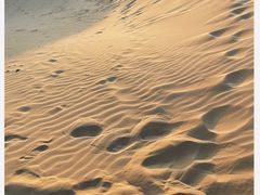 -亿利库布其七星湖沙漠生态旅游区