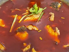 -重庆特色冷锅鱼(武大店)
