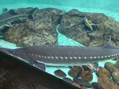 -太平洋海底世界