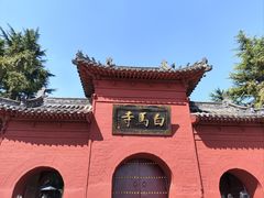 -洛阳白马寺