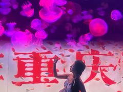 -重庆欢乐海底世界