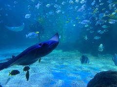 -常州海昌海洋探索馆