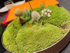-全聚德(双井店)