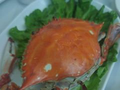 -威海渔村(静安旗舰店)