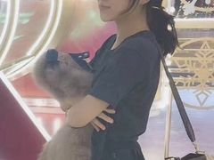 -Gucci(沈阳万象城店)