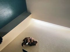 -涟LIAN·泰式按摩·MASSAGE·SPA(深业上城店)