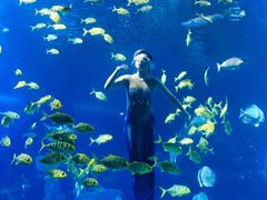 -太平洋海底世界