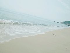 -玫瑰海岸文化旅游度假区