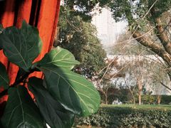 -橘洲1910花园江景西餐厅