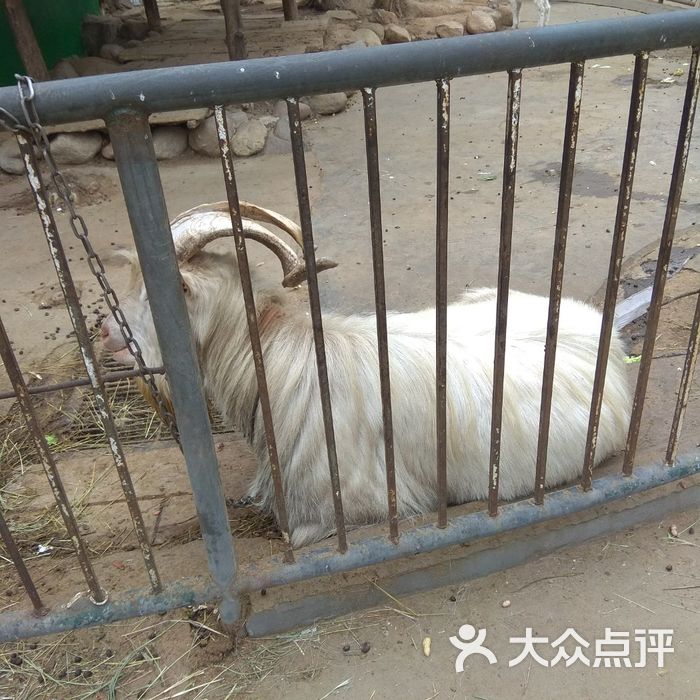 青島動物園