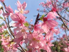 -文华公园(禅城区)