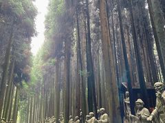 -武陵山森林公园