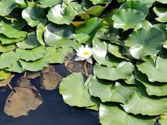 -中国海洋大学（崂山校区）-图书馆