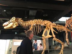 -墨尔本博物馆(Melbourne Museum)