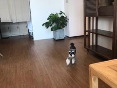 -仰生如卉推拿养生馆(酒仙桥店)