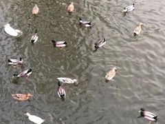 -迎泽公园