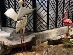 -广东道至正餐厅(区庄店)