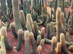 -南通洲际绿博园