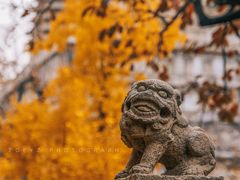 -北京石刻艺术博物馆(五塔寺)
