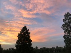 -素心小筑(后沙裕镇店)