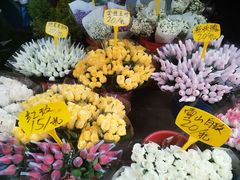 -循礼门鲜花花市(武汉循礼门店)