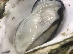 -蚝得喜海鲜(东城店)