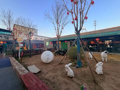 -阳坊胜利涮羊肉(阳坊老店)