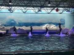 -秦皇岛乐岛海洋王国