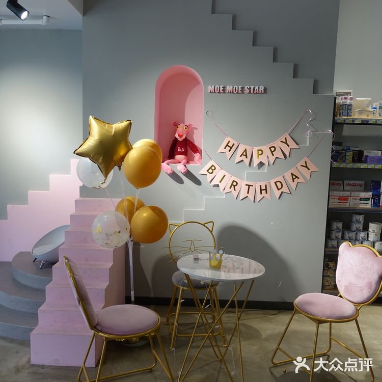 七宝附近一家玩乐美容一应俱全宠物酒店