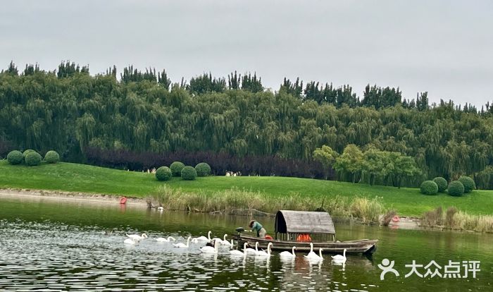 北京野生动物园图片