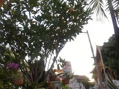 -Cafe de Thaan Aoan