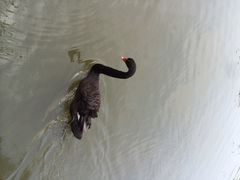 iphone_upload_pic-溱湖国家湿地公园