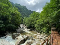 -青峰峡国家森林公园