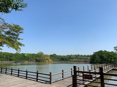 -大湾区中央湿地公园