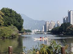 -光明港公园