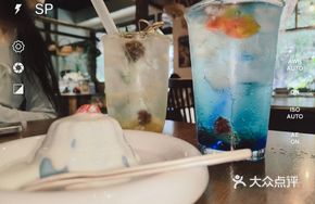 Cabbage Goldfish Sparkling Water